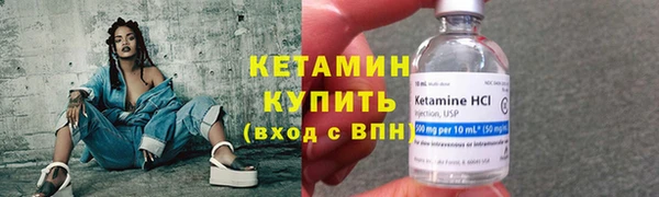 прущие грибы Богданович
