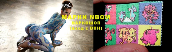 бошки Белокуриха