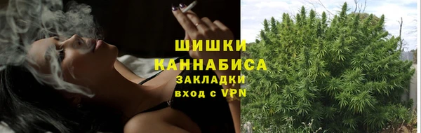 дмт Сатка