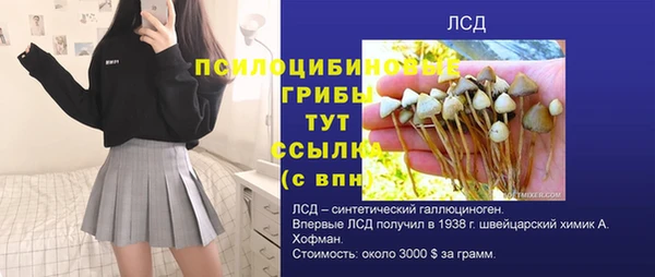 винт Богородицк