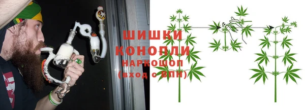 бошки Белокуриха