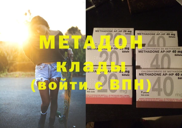 прущие грибы Богданович