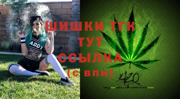 мдпв Сафоново